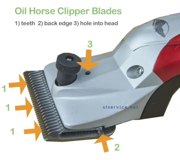 How to Oil Horse Clipper Blades